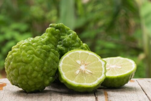 Bergamot Body Lotion