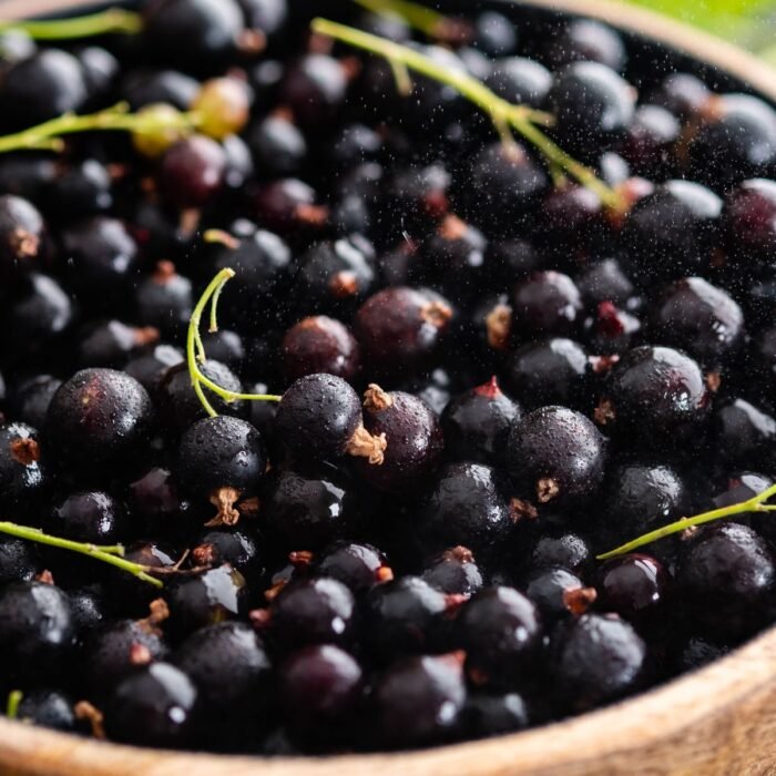 Blackcurrant Aroma / Fragrance Oil