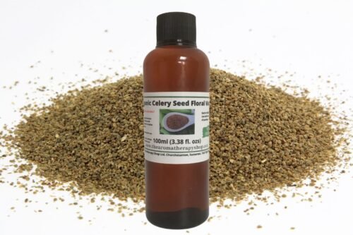 Celery Seed Floral Water / Organic