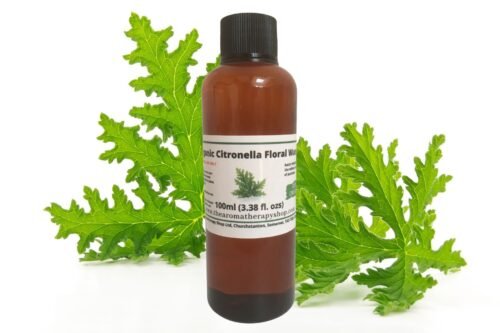 Citronella Floral Water / Organic