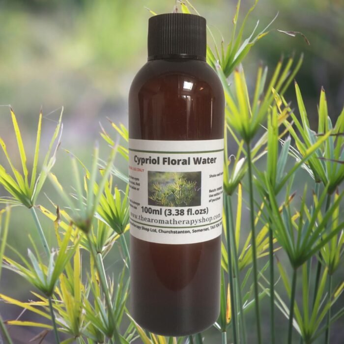 Cypriol Floral Water / Organic