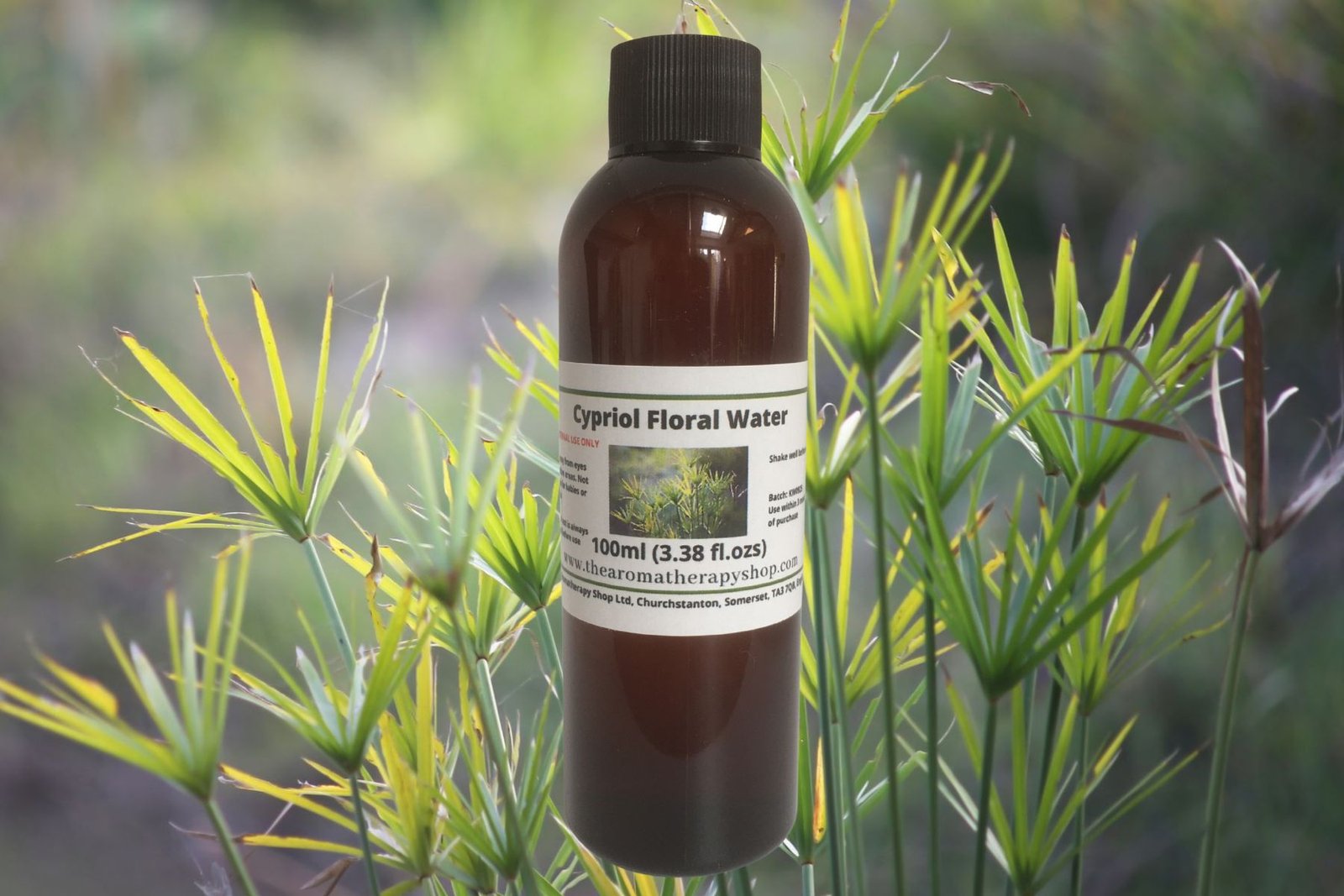 Cypriol Floral Water / Organic
