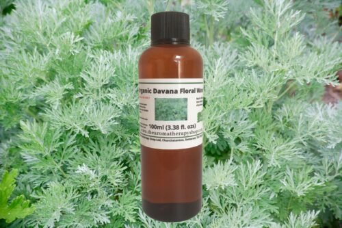 Davana Floral Water / Organic