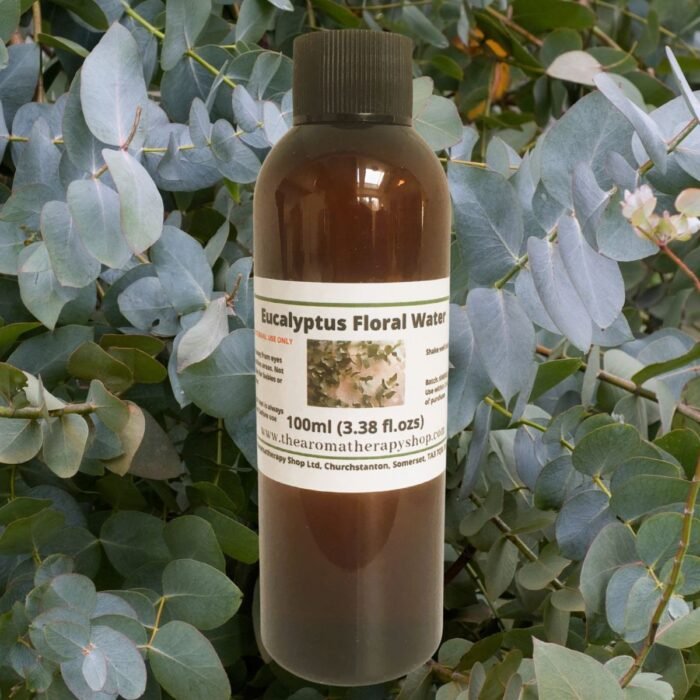 Eucalyptus Floral Water - Organic