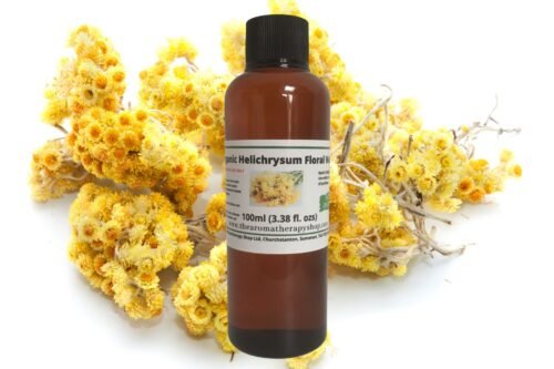 Helichrysum Floral Water / Organic