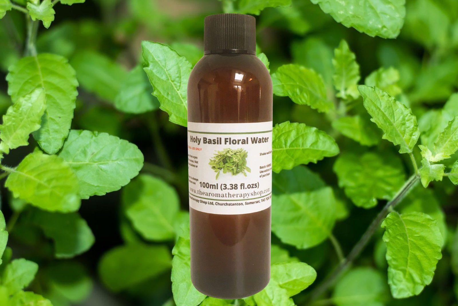 Holy Basil Floral Water / Organic