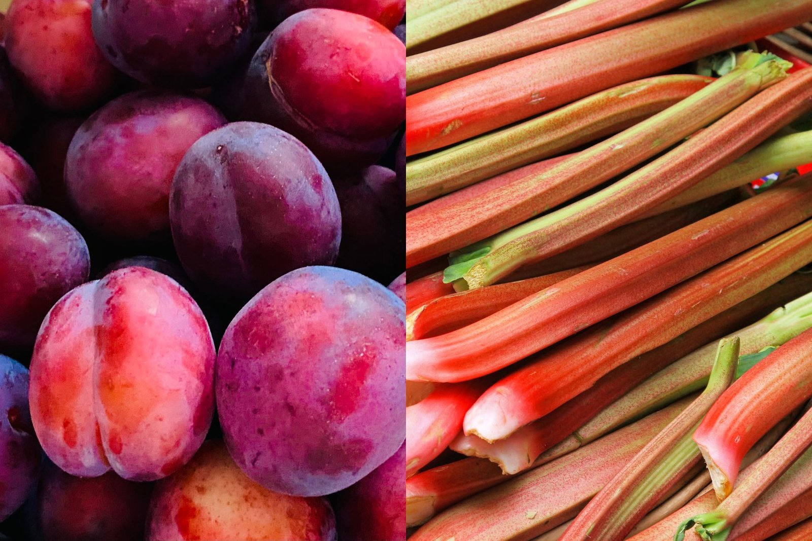 Plum & Rhubarb Body Lotion