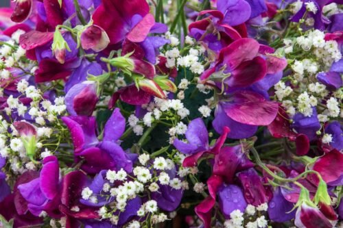 Sweet Pea Body Butter