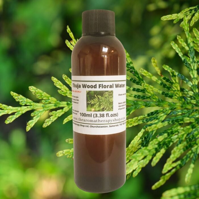 Thuja Wood Floral Water / Organic