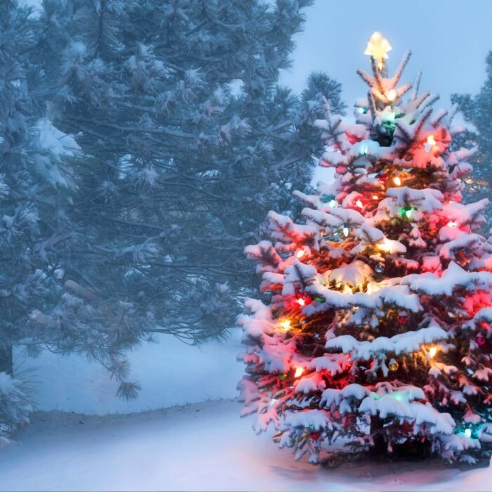 White Christmas Aroma / Fragrance Oil