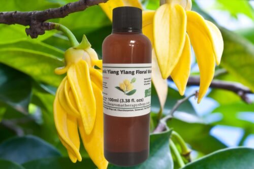 Ylang Ylang Floral Water / Organic